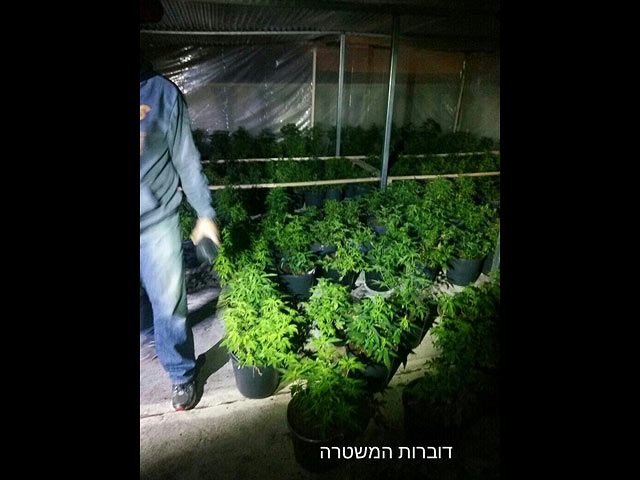 Полиция провела операцию по борьбе с торговлей наркотиками на севере Израиля  