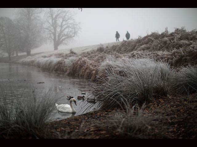 Зимний туман в Англии
