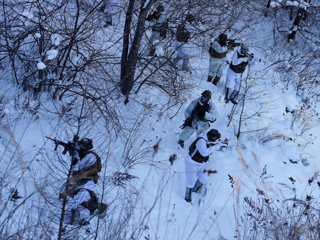 Снежные учения американских морпехов и корейского спецназа. Пьонгчанг-ган, Южная Корея. 24 января 2017 года