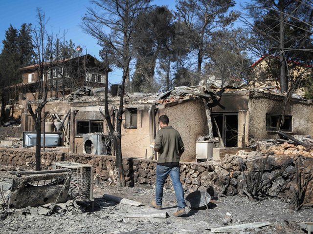 Халамиш после лесного пожара. 26 ноября 2016 года