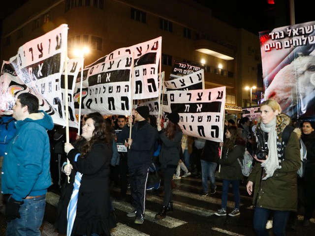 Активисты движений в защиту прав животных провели массовую демонстрацию в Тель-Авиве. 28 января 2017 г.