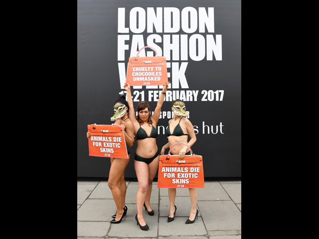 Акция PETA в Лондоне. 17 февраля 2017 года