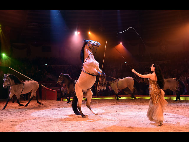 "Krone KUHlinarrisch" &#8211; представление крупнейшего цирка в Европе
