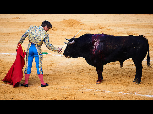Схватка с быками в Морон-де-ла-Фронтера