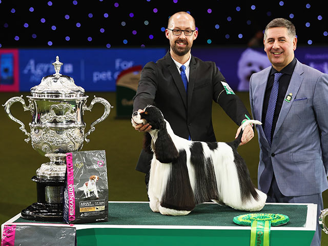 Майами Инк в финале Crufts 2017