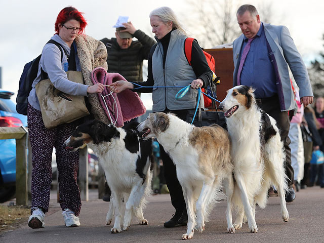 Crufts: открытие самой большой собачьей выставки в мире