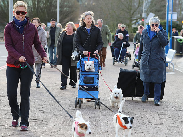 Crufts: открытие самой большой собачьей выставки в мире