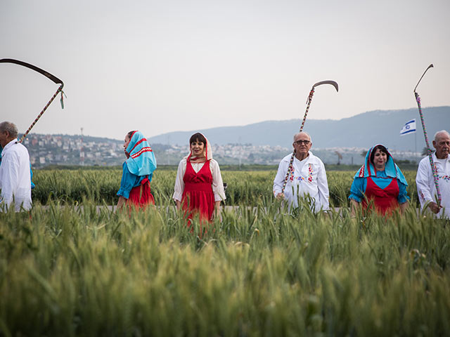 Еврейские косари и колхозницы. Фоторепортаж из Рамат-Йоханан