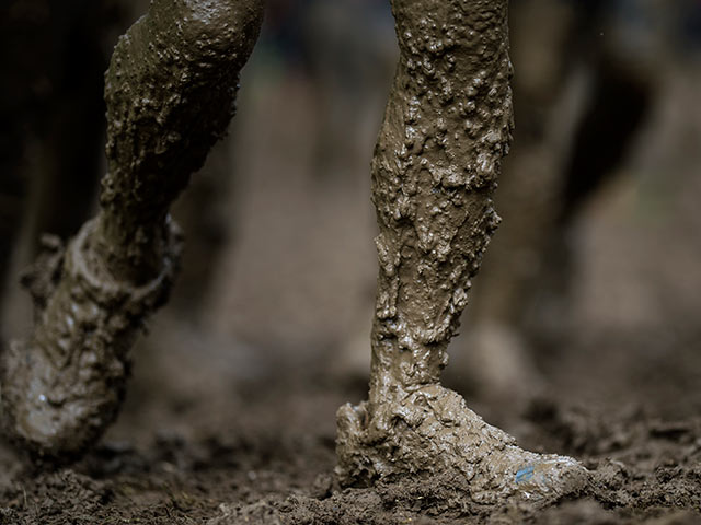 Бритты грязи не боятся: гонки на выживание в Англии
