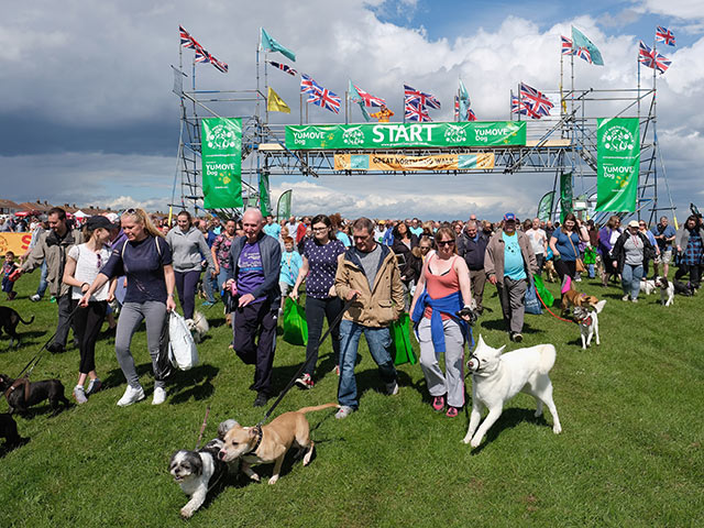 Great North Dog Walk: собачья свадьба на 28.000 гостей