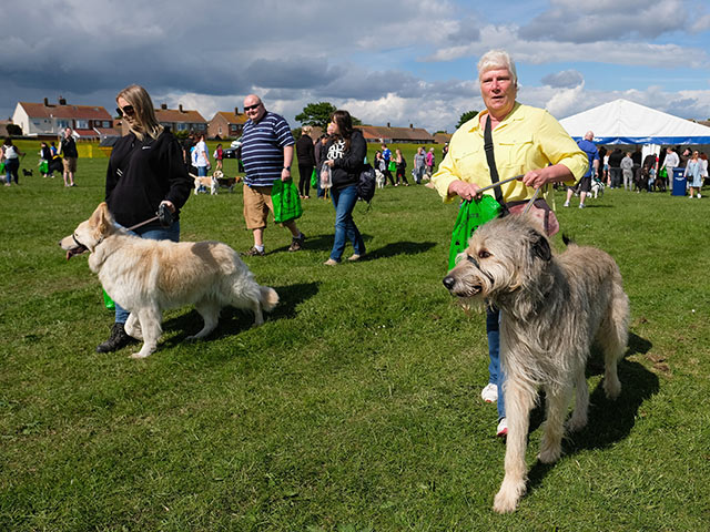 Great North Dog Walk: собачья свадьба на 28.000 гостей