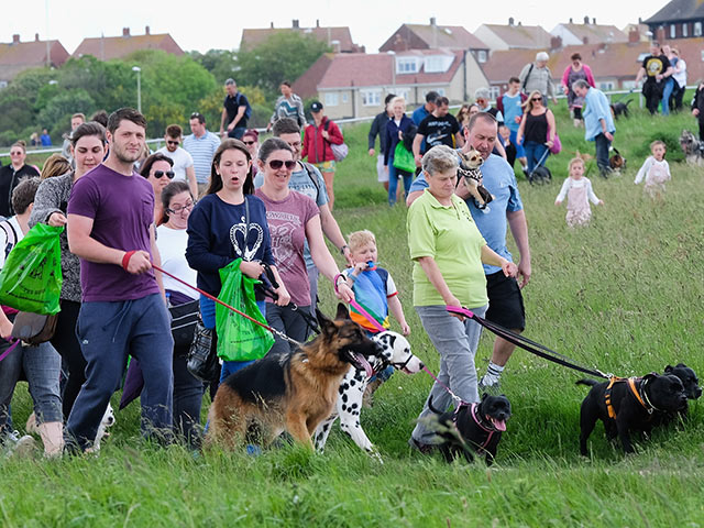 Great North Dog Walk: собачья свадьба на 28.000 гостей