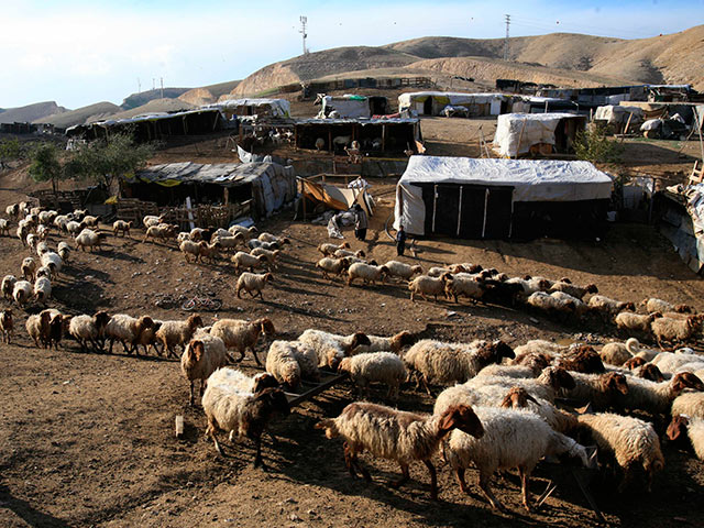     Бедуины ранили камнями молодого еврейского пастуха