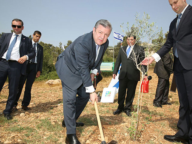 Премьер-министр Грузии посадил дерево в Иерусалимском лесу    