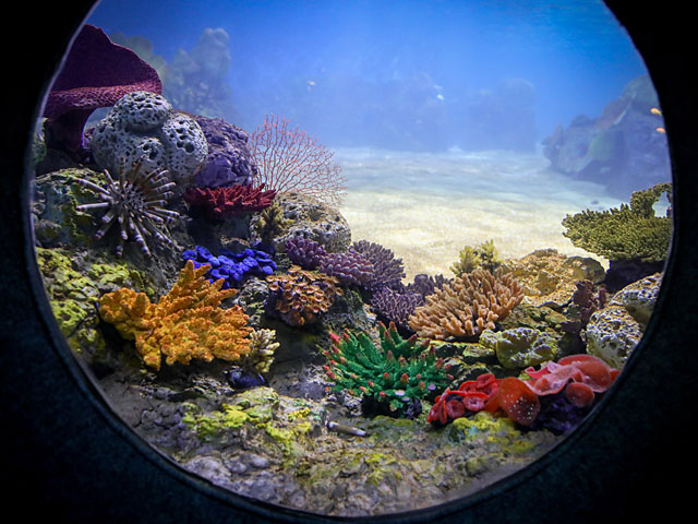 В Иерусалиме открылся "Израильский аквариум", рассказывающий о четырех морях  
