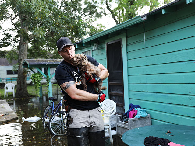 "Харви": спасение животных от наводнения и урагана