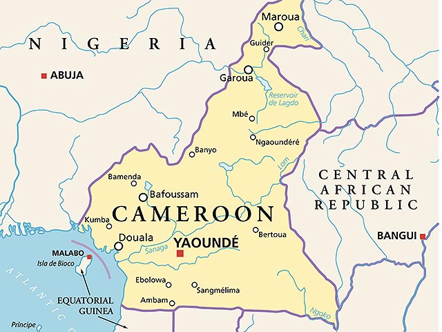 Девочка-подросток совершила теракт в мечети на севере Камеруна, погибли шесть человек