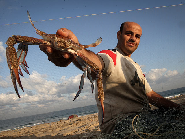 Охота на голубых крабов около побережья Газы