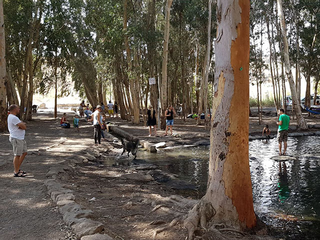 Наплыв посетителей в лесах и парках Израиля. Данные ККЛ  