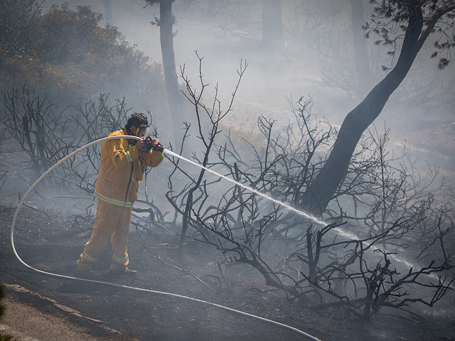 Лесной пожар возле поселка Долев, идет эвакуация жителей  