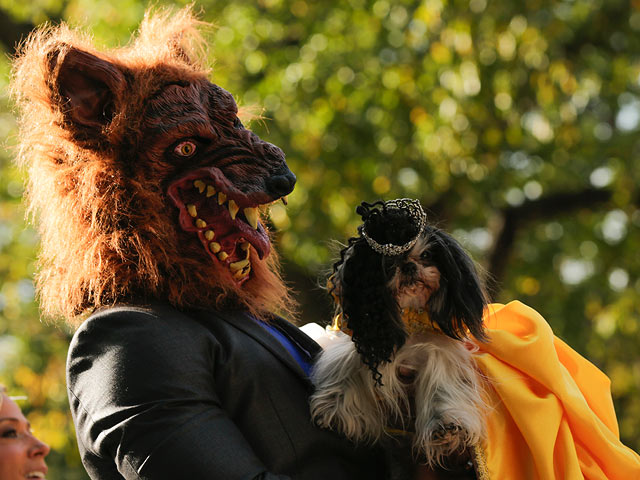 Карнавал по-собачьи: клоуны, дьяволы и гитаристы