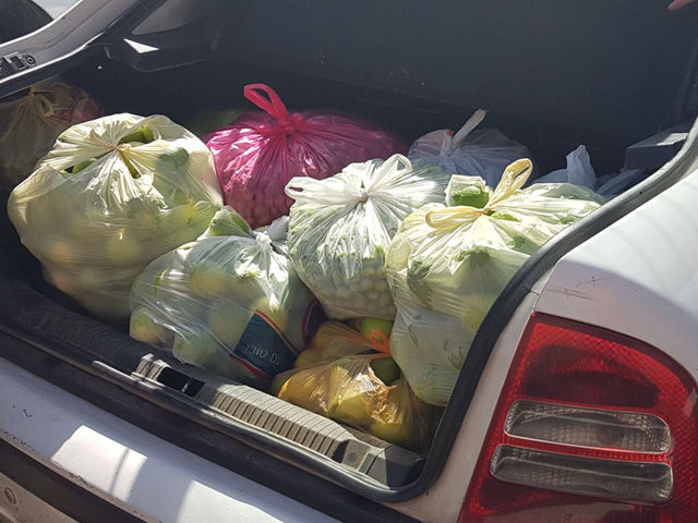 Арабские рабочие украли сотни килограммов овощей, чтобы продать их под Хевроном
