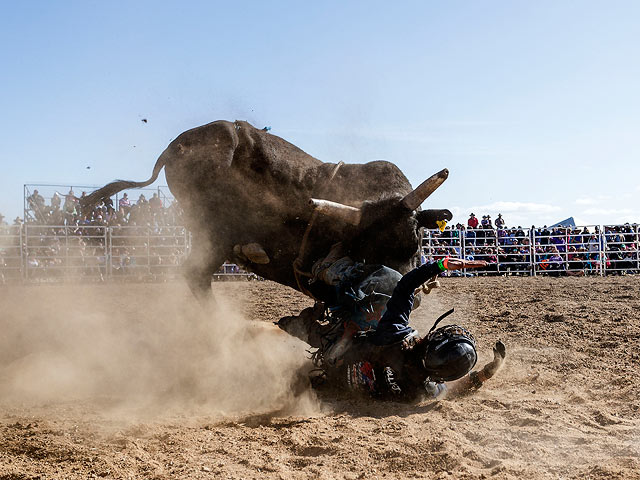 Deniliquin Ute Muster: "отвязный" фестиваль в Австралии