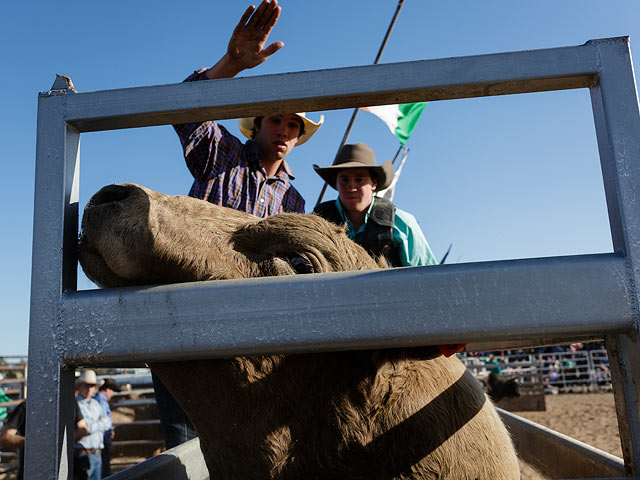 Deniliquin Ute Muster: "отвязный" фестиваль в Австралии