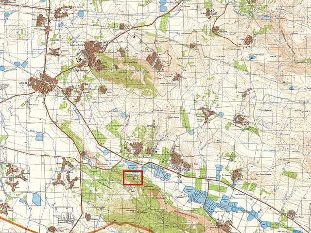 В районе Гильбоа домашняя собака заразилась бешенством  