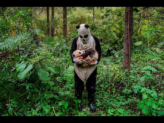 Ami Vitale (National Geographic)