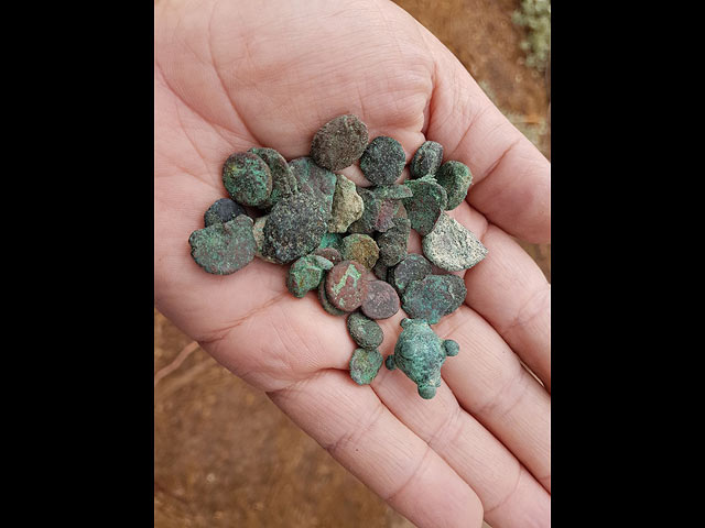 На раскопках в Негеве задержан "черный" археолог с металлоискателем и 150 монетами