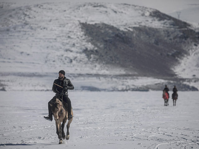 "Фестиваль золотой лошади" на замерзшем озере в Турции