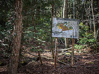 Лес самоубийц на склонах Фудзиямы. Фоторепортаж

