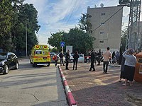 Вынесены приговоры по делу об убийстве родственниками беременной Айи Абу Хаджадж на глазах у детей Вынесены приговоры по делу об убийстве родственниками беременной Айи Абу Хаджадж на глазах у детей