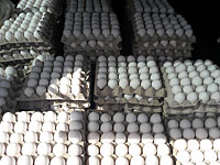 В Самарии предотвращена контрабанда 81 тысячи яиц