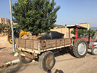 В Нижней Галилее трактор сбил 50-летнего мужчину