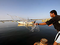 Израиль увеличил зону рыбной ловли у побережья сектора Газы  