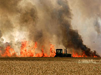 Террористы из Газы подожгли пшеничное поле с помощью воздушного змея