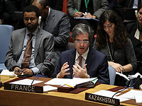Франсуа Делатр на заседании СБ ООН. 14 апреля 2018 года