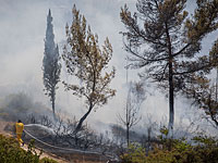 Сотни дунамов леса горят на границе с сектором Газы  