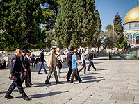 Полиция: еврейские посетители устроили провокацию на Храмовой горе  