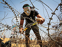 Возобновились беспорядки на границе с Газой