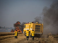 Возникли пожары в Самарии и на границе с сектором Газы