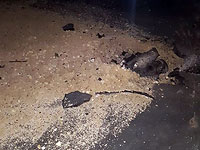 В ходе ночных обстрелов ракета попала в жилой дом в районе Эшколь  