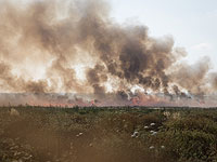Горящий воздушный змей стал причиной пожара в заповеднике Кармия