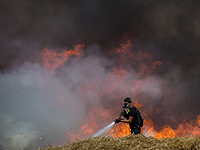Пожарным не удается локализовать огонь на территории заповедника Кармия