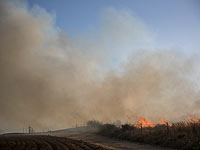 Поджоги на границе Газы: пожарные работают в пяти точках возгорания