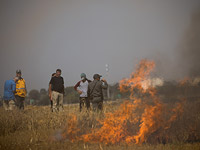Пожар в результате падения "огненного змея", запущенного из Газы
