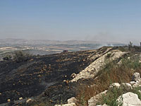 В течение часа возникло 11 новых пожаров на границе с Газой
