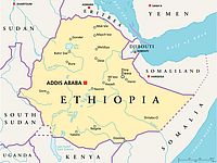   Во время выступления премьер-министра Эфиопии в центре Аддис-Абебы прогремел взрыв